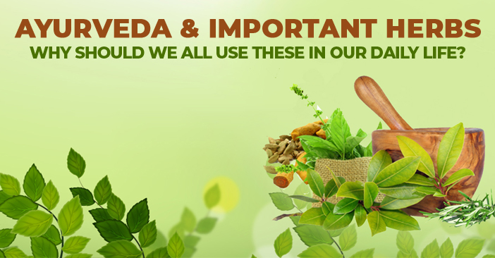 Ayurveda And Important Herbs - Why Should We All Use These In Our Daily ...